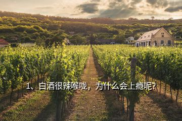 1、白酒很辣喉嚨，為什么會(huì)上癮呢？