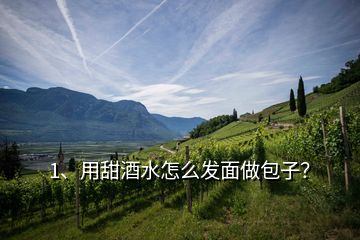 1、用甜酒水怎么發(fā)面做包子？