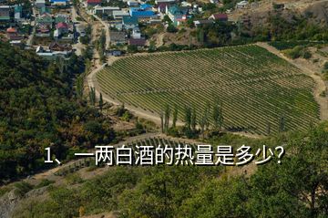 1、一兩白酒的熱量是多少？