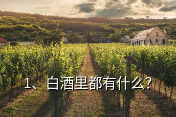 1、白酒里都有什么？