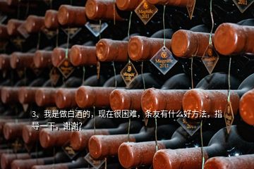 3、我是做白酒的，現(xiàn)在很困難，條友有什么好方法，指導(dǎo)一下，謝謝？