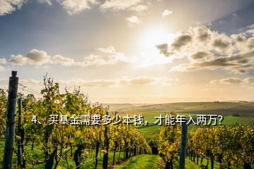 4、買(mǎi)基金需要多少本錢(qián)，才能年入兩萬(wàn)？