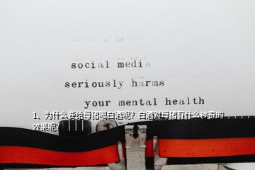 1、為什么要給母豬喝白酒呢？白酒對(duì)母豬有什么神奇的效果呢？