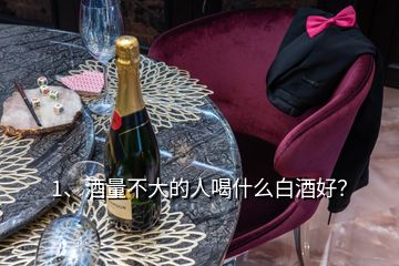 1、酒量不大的人喝什么白酒好？