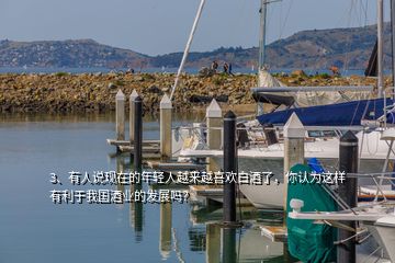 3、有人說現(xiàn)在的年輕人越來越喜歡白酒了，你認(rèn)為這樣有利于我國(guó)酒業(yè)的發(fā)展嗎？