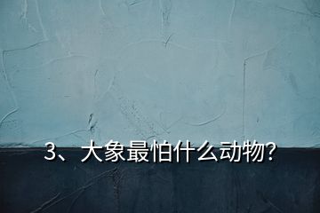 3、大象最怕什么動(dòng)物？