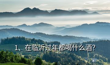 1、在臨沂過年都喝什么酒？