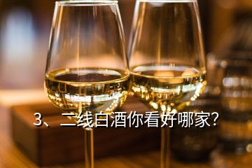 3、二線白酒你看好哪家？
