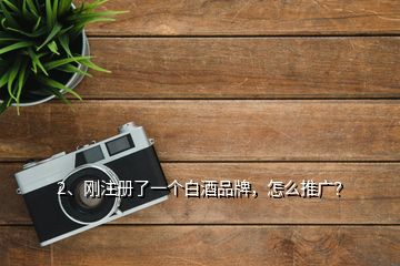 2、剛注冊(cè)了一個(gè)白酒品牌，怎么推廣？
