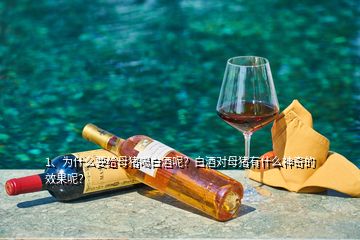 1、為什么要給母豬喝白酒呢？白酒對(duì)母豬有什么神奇的效果呢？