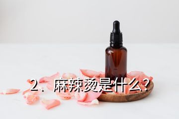 2、麻辣燙是什么？