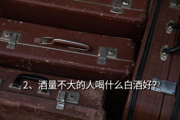 2、酒量不大的人喝什么白酒好？