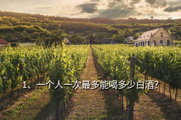 1、一個人一次最多能喝多少白酒？