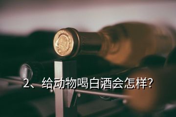 2、給動物喝白酒會怎樣？