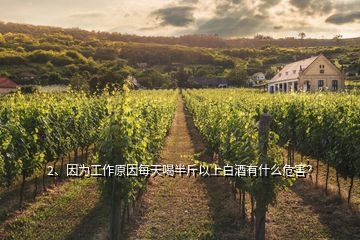 2、因?yàn)楣ぷ髟蛎刻旌劝虢镆陨习拙朴惺裁次：Γ?></p><p>眾所周知，中國(guó)人喜歡在酒桌上談事情，無(wú)論是生意還是家常，這樣就形成了我們特有的酒桌文化，而酒桌文化的歷史也非常悠久，而現(xiàn)在的社交或者工作很多時(shí)候都離不開(kāi)酒，對(duì)于酒來(lái)說(shuō)可以喝，必須給自己定量，白酒最好每天控制在1兩左右，或者以紅酒為主。其實(shí)在酒桌上如果你能明確的提前告訴朋友/客戶你不喝酒或者酒量不行，他們也不會(huì)真正的去慫恿你喝的（除了少數(shù)的極品外），意思到了就行，</p><p>對(duì)于持續(xù)每天喝半斤以上白酒的危害有以下：一、肝臟傷害：脂肪堆積在肝臟引起脂肪肝二、胃潰瘍：可引起胃出血而危及生命三、神經(jīng)系統(tǒng)傷害：譬如周邊神經(jīng)病變四、大腦皮質(zhì)萎縮：有報(bào)告顯示部份慢性酒癮者的大腦皮質(zhì)有萎縮現(xiàn)象，也有部份病人有智力衰退的跡象五、長(zhǎng)時(shí)間引用大量白酒容易成癮的，而且時(shí)間長(zhǎng)了容易導(dǎo)致股骨頭壞死，腦出血，高血脂癥，胃出血等情況如果你現(xiàn)在已經(jīng)長(zhǎng)期這樣喝了，最好去醫(yī)院檢查下，平時(shí)定期復(fù)查肝功能，B超檢查肝臟，預(yù)防酒精性肝硬化，同時(shí)接下來(lái)的控制喝酒的量，可以在以后的酒桌上提前明確自己的身體狀態(tài)為由，減少喝酒的量，每天控制一兩左右，跟他們意思到位就行了。</p><h2>3、經(jīng)常喝酒的人會(huì)怎么樣？有危害嗎？</h2><p>“適量飲酒對(duì)身體有好處”，這個(gè)說(shuō)法是大錯(cuò)特錯(cuò)的！說(shuō)這話的一定是常喝酒的人，在自我安慰，酒的主要成分是乙醇，也就是酒精，有的酒依據(jù)原料和工藝不同，含有少量的糖和微量肽類或氨基酸，但這些都是微乎其微，和乙醇相比可以忽略不計(jì)。乙醇除了產(chǎn)生能量以外（每克酒精可以產(chǎn)生7千卡的熱量），對(duì)人體有很多方面的影響，少量的喝酒可以起到一定的精神興奮作用，可以產(chǎn)生愉悅感，這也是為什么我們的飯桌上總是喜歡“把酒言歡”。</p><p>但是，在中國(guó)居民膳食指南里，飲酒并不被推薦！世界衛(wèi)生組織早已把酒精列為了一級(jí)致癌物！最新研究表明，全世界5.5%的癌癥發(fā)生和5.8%的癌癥死亡是酒精引起的，也就是說(shuō)，每18個(gè)癌癥里，就有一個(gè)是喝酒喝出來(lái)的，就算沒(méi)有得癌癥，過(guò)量飲酒也容易引起肝損傷，是痛風(fēng)、心血管疾病等發(fā)生的重要危險(xiǎn)因素！所以喝酒對(duì)身體真的沒(méi)有什么好處，如果你平時(shí)就不喝酒，千萬(wàn)不要聽(tīng)信什么睡前喝點(diǎn)葡萄酒養(yǎng)生的謊話。</p><p>對(duì)于平時(shí)喝酒成癮的人來(lái)說(shuō)，控制日常不再喝酒，改成睡前適量喝點(diǎn)葡萄酒，這樣做到了減少平時(shí)的飲酒量，相對(duì)是健康的，對(duì)于愛(ài)喝酒的人來(lái)說(shuō)，因?yàn)楦鞣N原因一時(shí)半會(huì)戒不了酒，就努力控制一下飲酒量吧，建議成年男性一天最大飲酒的酒精量不超過(guò)25克，女性不超過(guò)15克。換算成啤酒差不多男性一天不超過(guò)750毫升，女性不超過(guò)450毫升。</p>
</div>
</div>
<div   id=