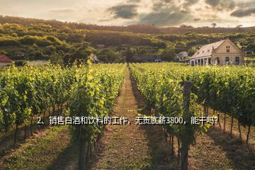 2、銷售白酒和飲料的工作，無責(zé)底薪3800，能干嗎？