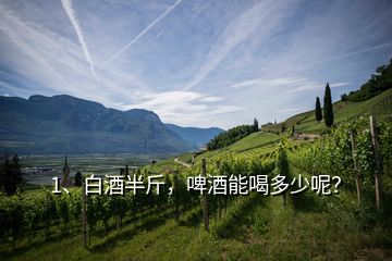 1、白酒半斤，啤酒能喝多少呢？