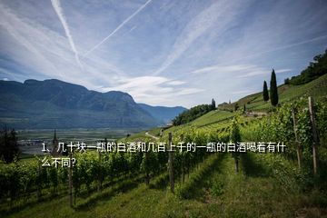 1、幾十塊一瓶的白酒和幾百上千的一瓶的白酒喝著有什么不同？