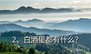 2、白酒里都有什么？