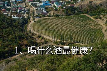 1、喝什么酒最健康？