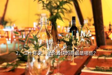 2、二十年來，漲價最快的商品是哪些？