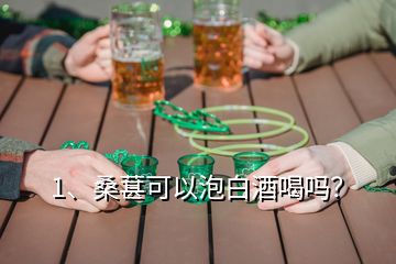 1、桑葚可以泡白酒喝嗎？