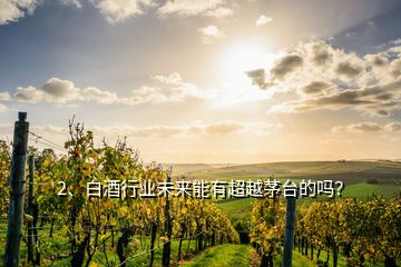 2、白酒行業(yè)未來能有超越茅臺的嗎？