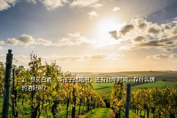 2、想買白酒，等孩子結(jié)婚用，還有10年時間，存什么牌的酒好呢？