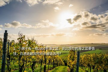 3、小姨子有一瓶2000年海之藍(lán)，說(shuō)比現(xiàn)在的海之藍(lán)要值錢(qián)，白酒是越放時(shí)間長(zhǎng)越值錢(qián)嗎？