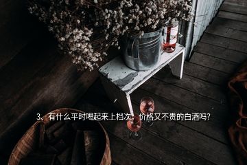 3、有什么平時喝起來上檔次，價格又不貴的白酒嗎？