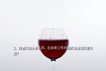 3、白酒三巨頭茅五洋，在未來三年內(nèi)誰的發(fā)展?jié)摿Ω笮?></p><p>比較看好<a href=
