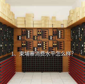 1、柬埔寨消費(fèi)水平怎么樣？