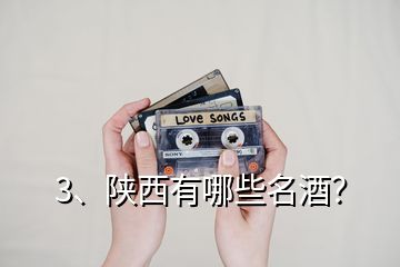 3、陜西有哪些名酒？