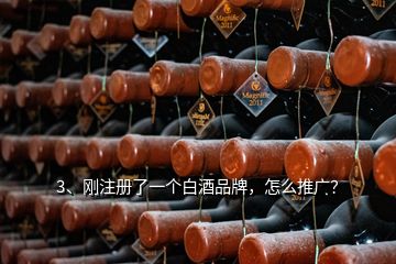 3、剛注冊了一個白酒品牌，怎么推廣？