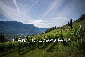 3、白酒的一線、二線品牌到底有哪些？