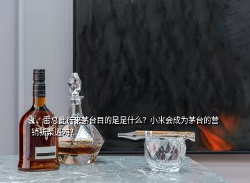 1、雷總此行來茅臺目的是是什么？小米會(huì)成為茅臺的營銷新渠道嗎？