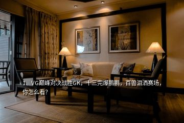 1、VG巔峰對決戰(zhàn)勝GK，十三完爆鵬鵬，百獸淚灑賽場，你怎么看？