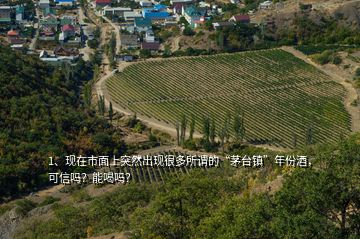 1、現(xiàn)在市面上突然出現(xiàn)很多所謂的“茅臺(tái)鎮(zhèn)”年份酒，可信嗎？能喝嗎？