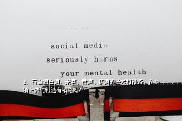 3、有自釀白酒，米酒，黃酒，藥酒的技術(shù)和設(shè)備，在鄉(xiāng)鎮(zhèn)上做純糧酒有銷路嗎？