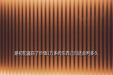 是初犯盜竊了價值1萬多的東西己歸還會判多久
