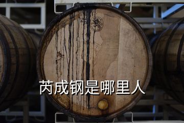 芮成鋼是哪里人