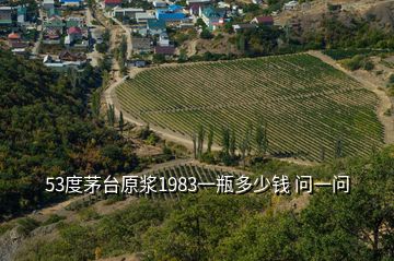 53度茅臺(tái)原漿1983一瓶多少錢(qián) 問(wèn)一問(wèn)