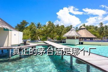 真正的茅臺酒是哪個廠