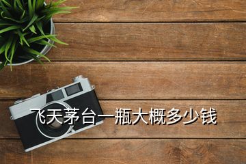 飛天茅臺(tái)一瓶大概多少錢(qián)