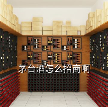 茅臺(tái)酒怎么招商啊