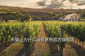 天貓上為什么沒(méi)有茅臺(tái)官方旗艦店