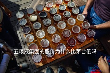 五糧液集團的股價為什么比茅臺低嗎