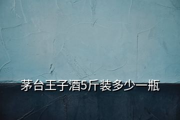 茅臺王子酒5斤裝多少一瓶