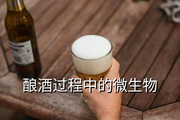 釀酒過(guò)程中的微生物
