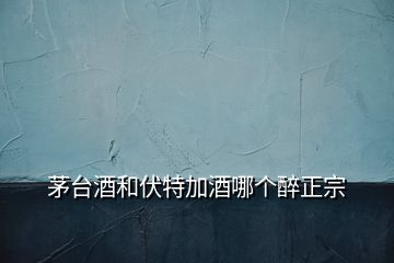 茅臺(tái)酒和伏特加酒哪個(gè)醉正宗